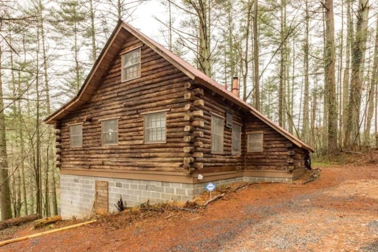 10 STUNNING Cabins In Georgia 2024 Edition   Georgia Lakefront Cabin 768x512 