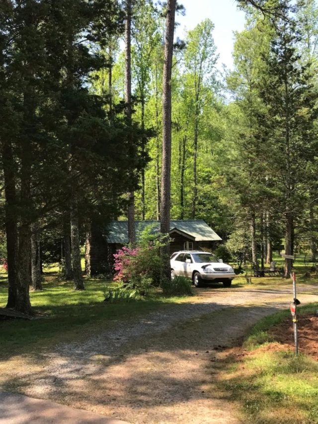 10 STUNNING Cabins In Georgia 2024 Edition   Georgia The Pine Cabin 640x853 