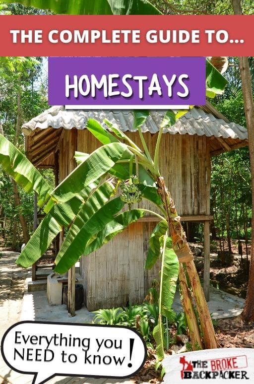 homestays-101-the-epic-guide-to-staying-with-locals-2023