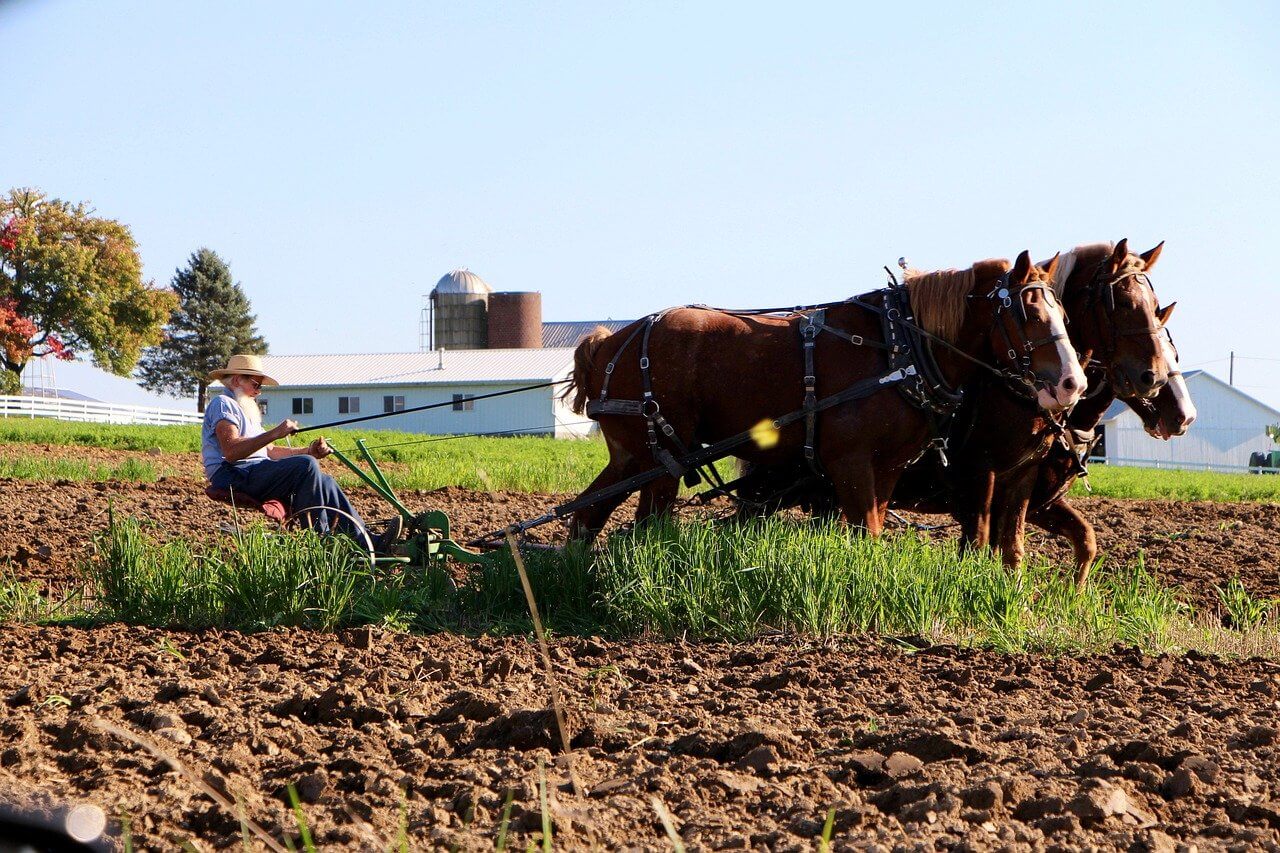 amish country pennsylvania