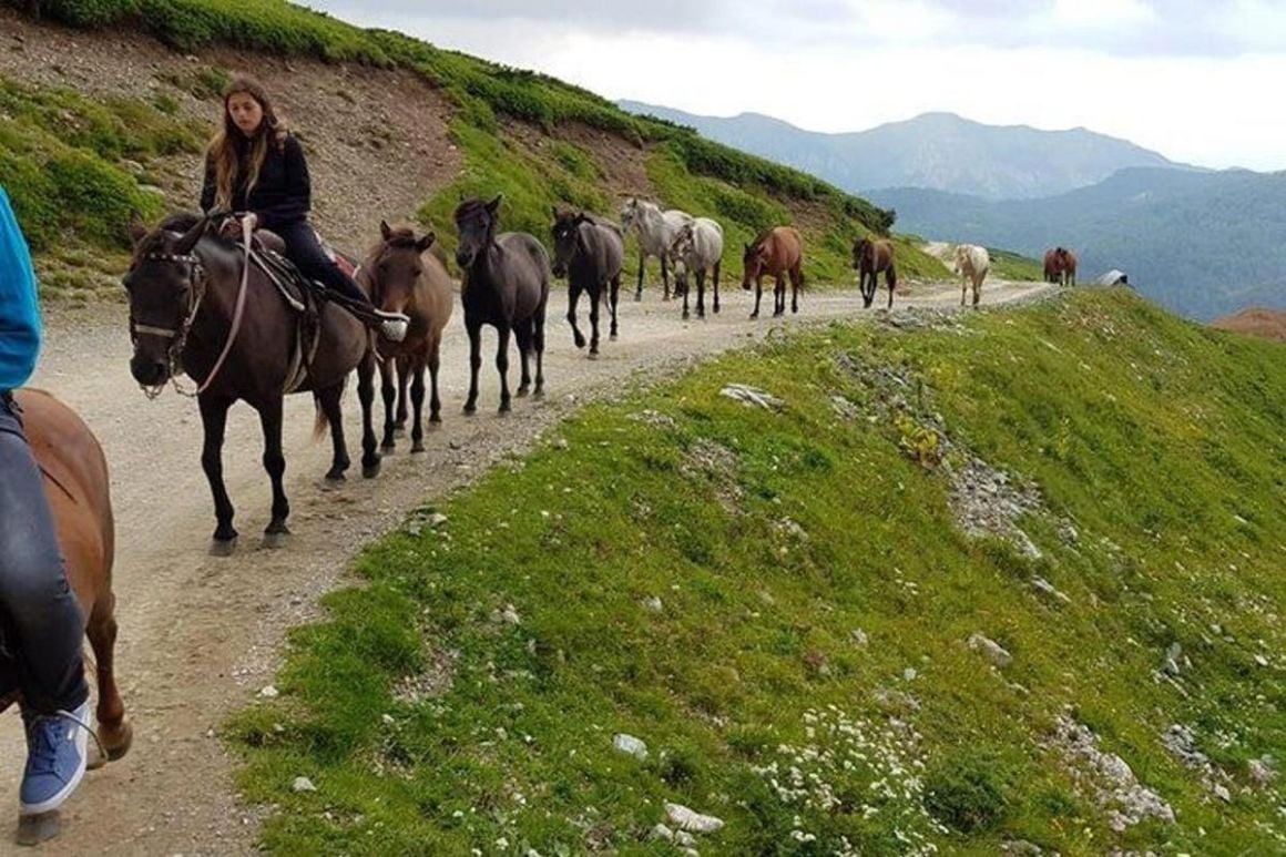 Horse Riding in Biogradska