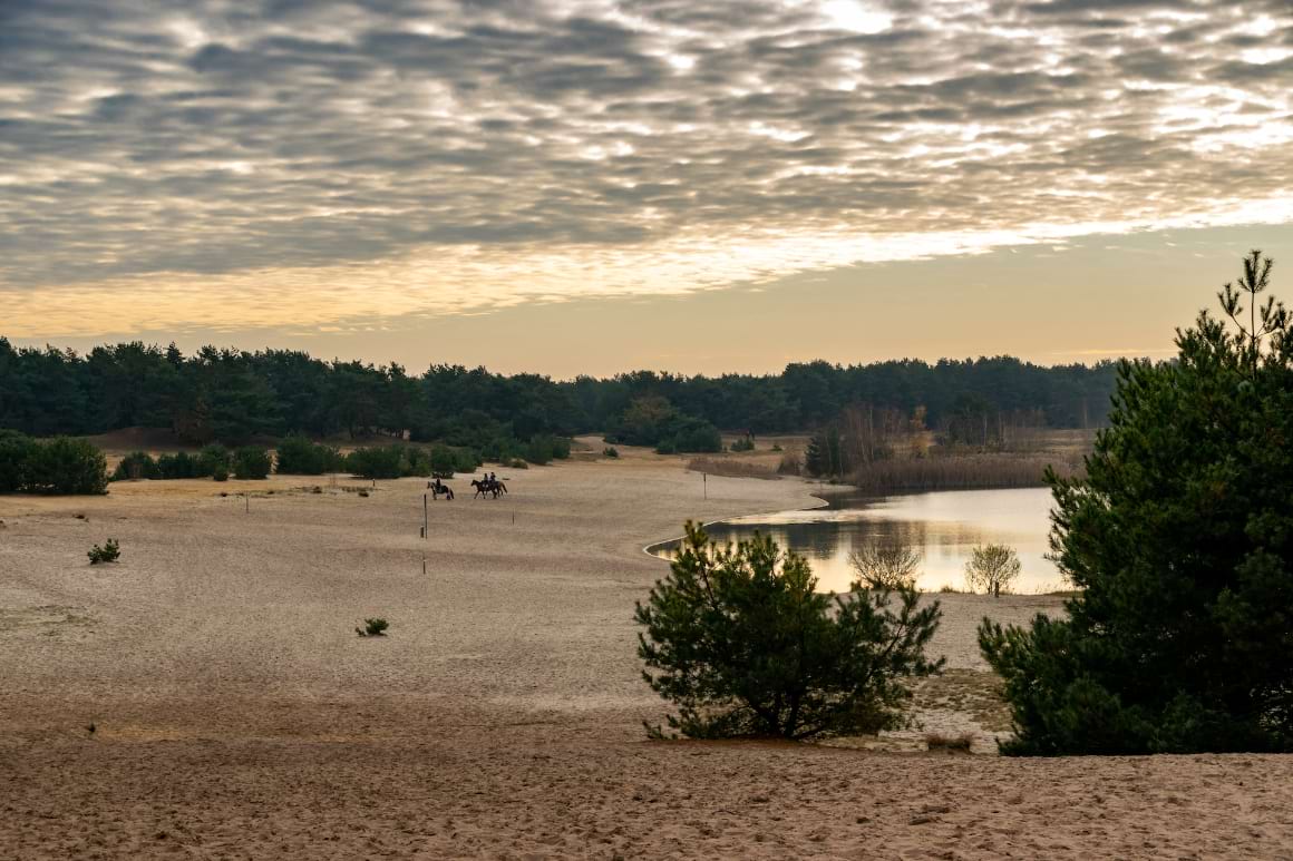 Landscape of Lommelse Sahara with a lake and lush trees. 