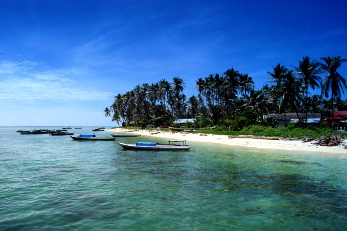 A group of boats floating on the blue water next to the shore with palm trees in Derawan Islands, East Kalimantan