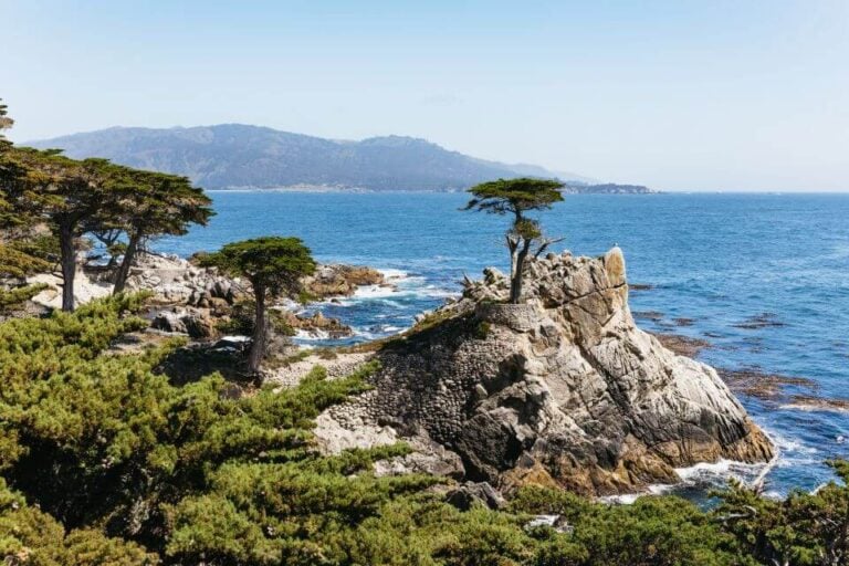 Where to Stay in Monterey: The BEST Areas in 2024