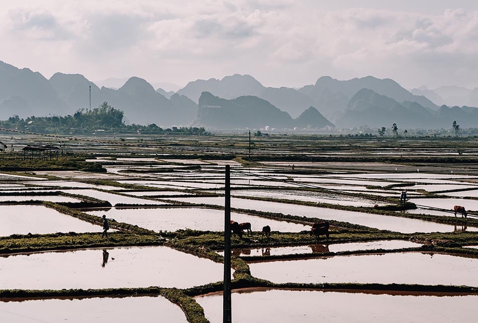 voyage solo vietnam