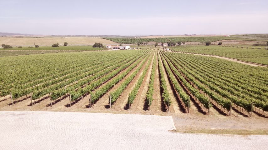 Alentejo Wine Tour Portugal