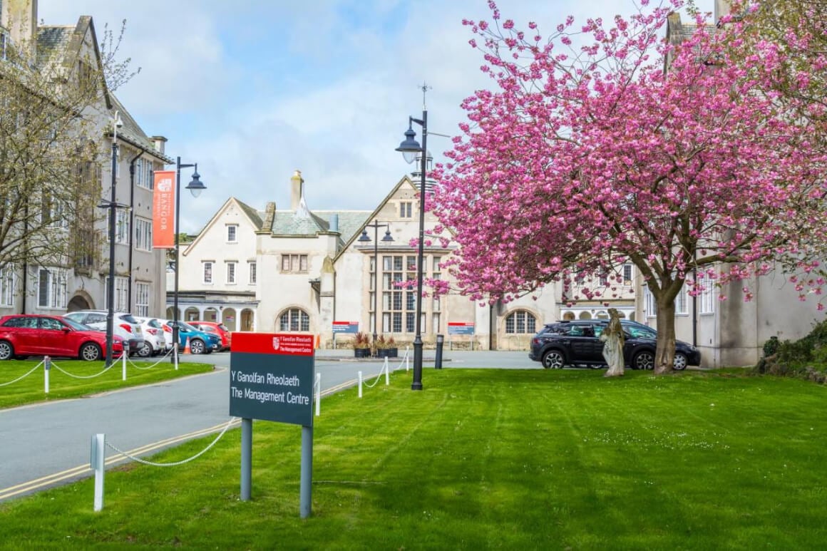 Management Center Bangor UK