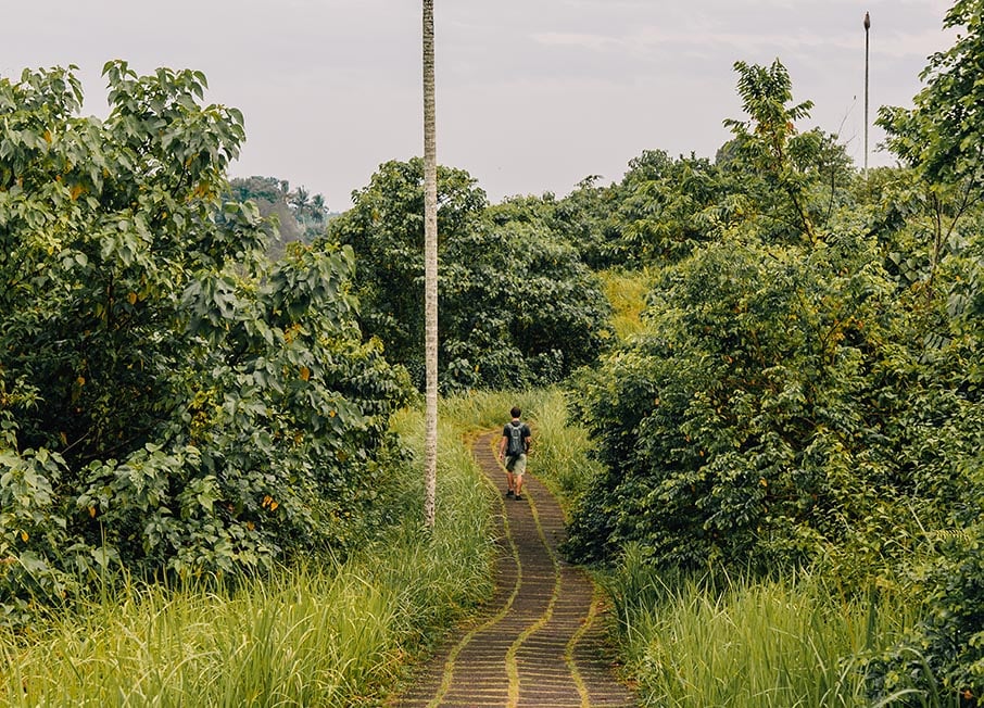 A person walking along the Campuhan Ridge Walk in Ubud, Bali, Indonesia surrounded by trees, forest and jungle.