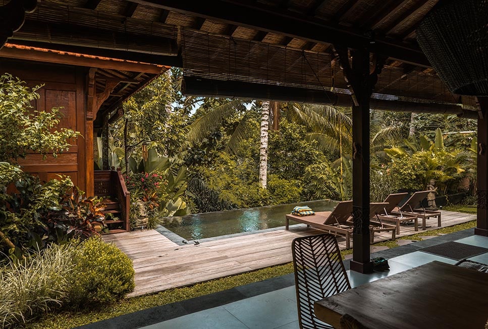 A Canggu villa patio with a swimming pool and chairs amidst lush greenery.