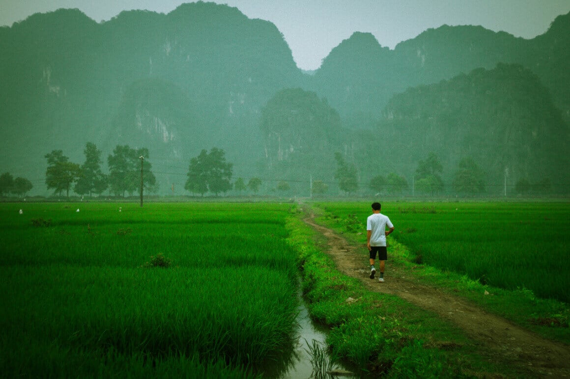 Man wandering through the local rice paddies in Ninh Binh, Vietnam