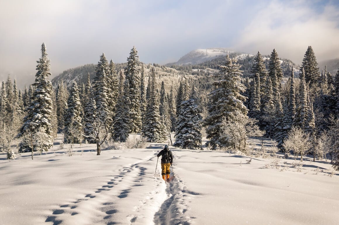 a man skiing through snow with tree in the background on a slope in Steamboat Springs, Colorado 