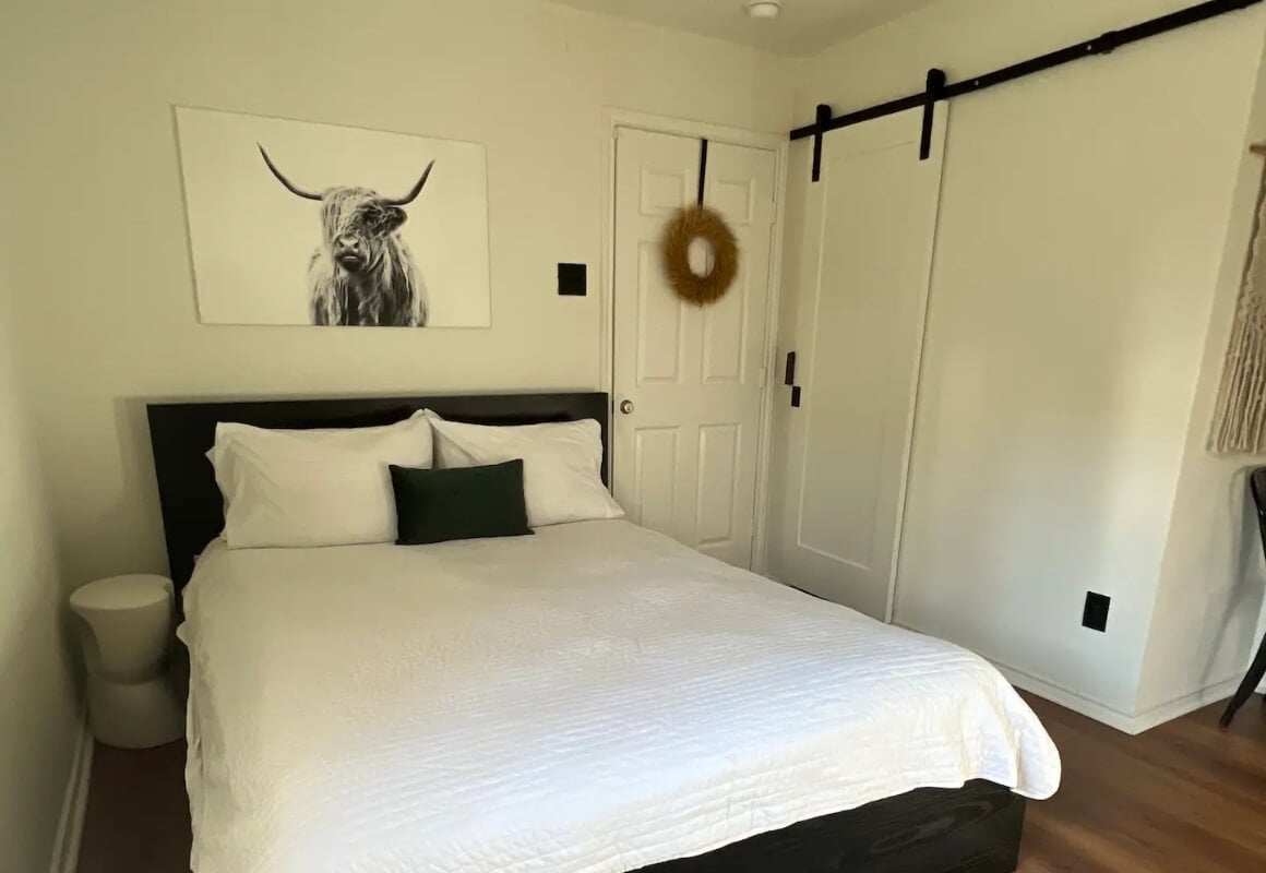 Texas Themed Studio Apartment Houston