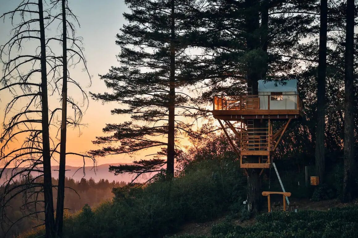 Treehouse in Vineyard - Los Gatos California