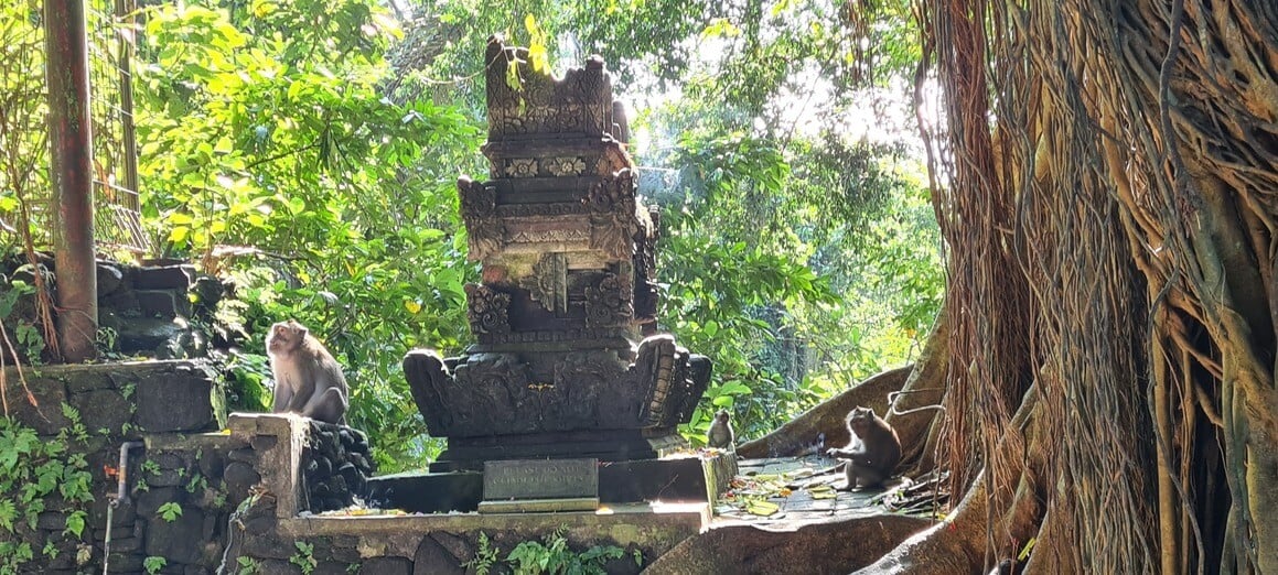 Monkeys around a little Balinese Hindu shrine outside the Monkey Forest in Ubud.