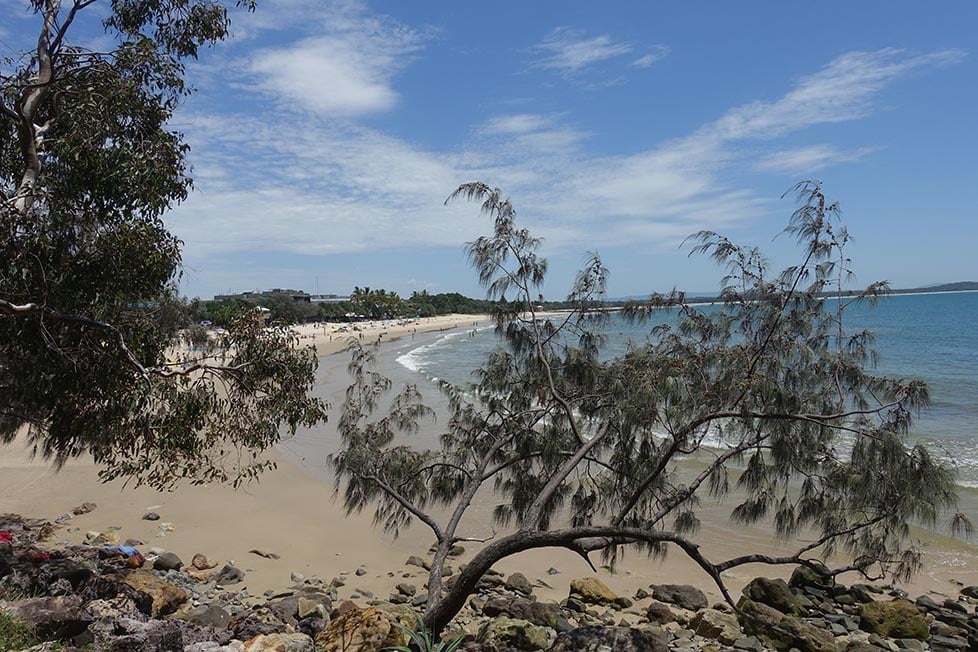 Looking out over Noosa beach from the coastal path walk through some trees, Queensland, Australia