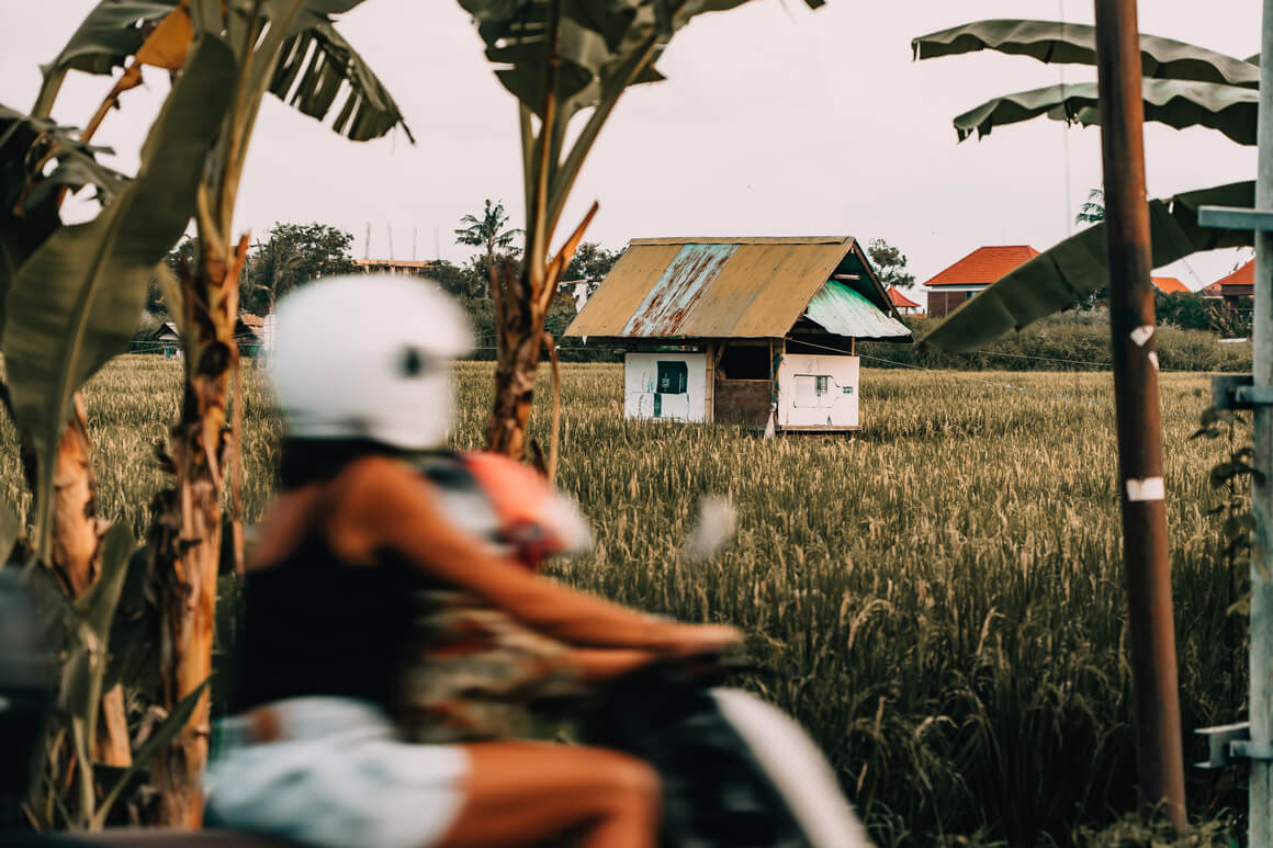 Women riding a scooter along lush rice fields, with a rustic hut in the background