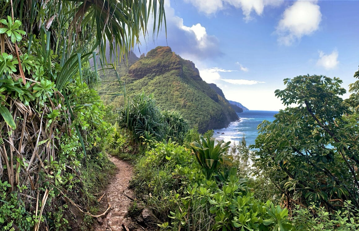 hiking trail in kauai