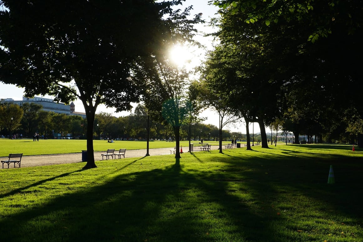 sun peaking through trees in a quiet park in national mall, washington dc