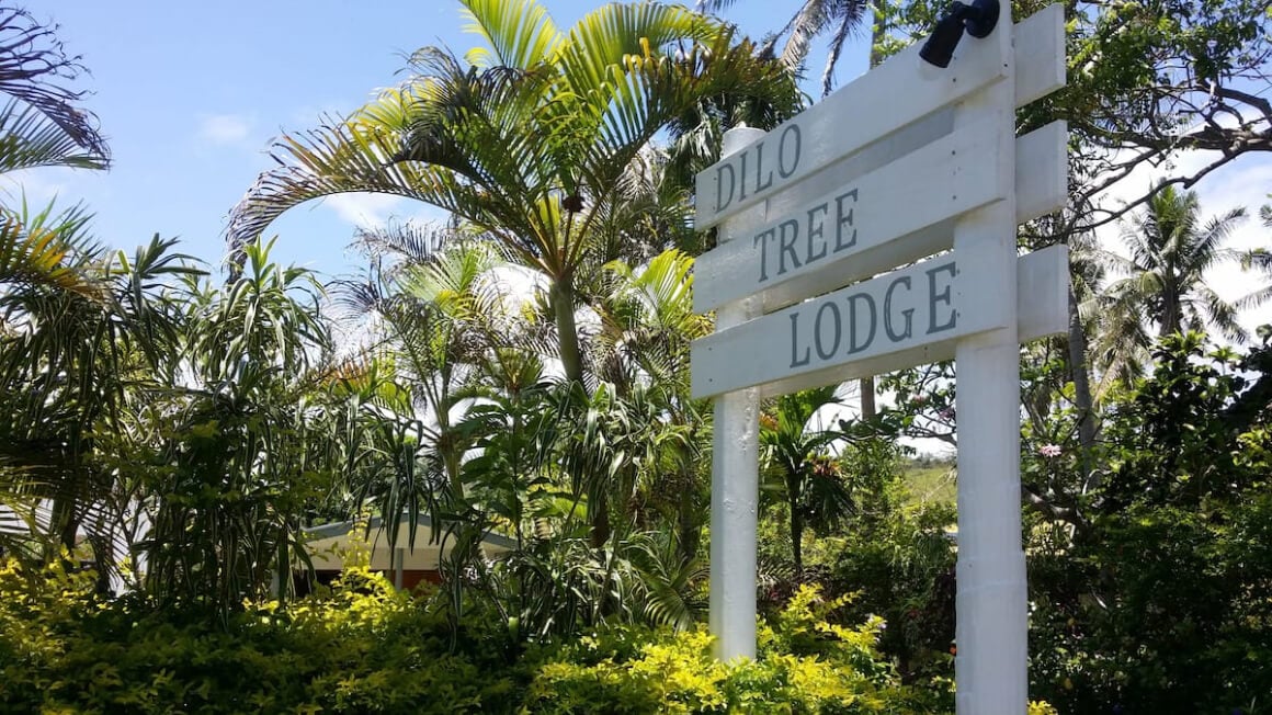 Dilo Tree Lodge in Fiji