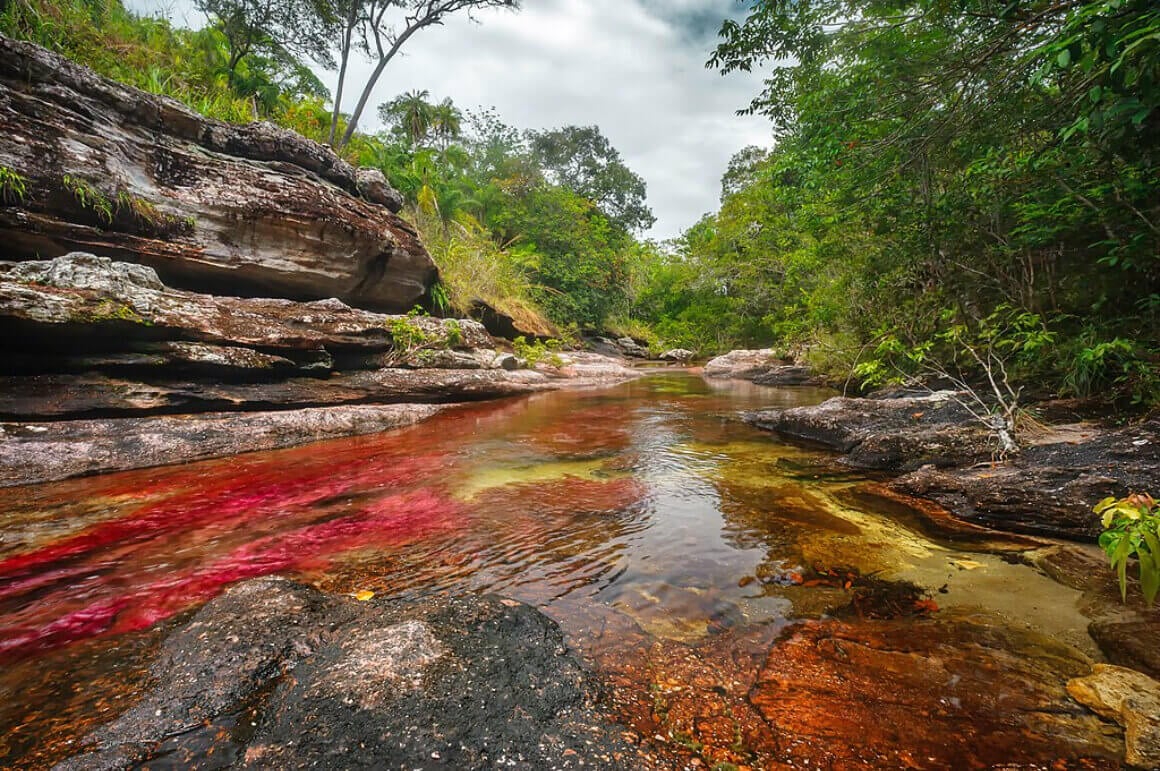 Cano Cristales, Colombia