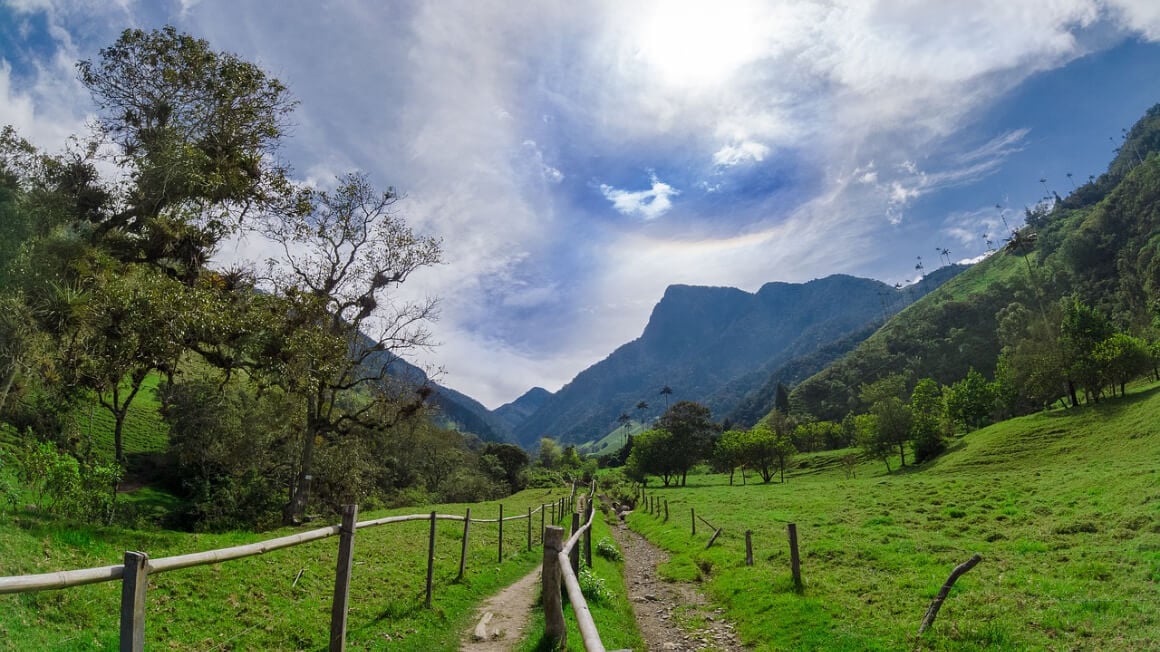 Valle de Cocora Colombia