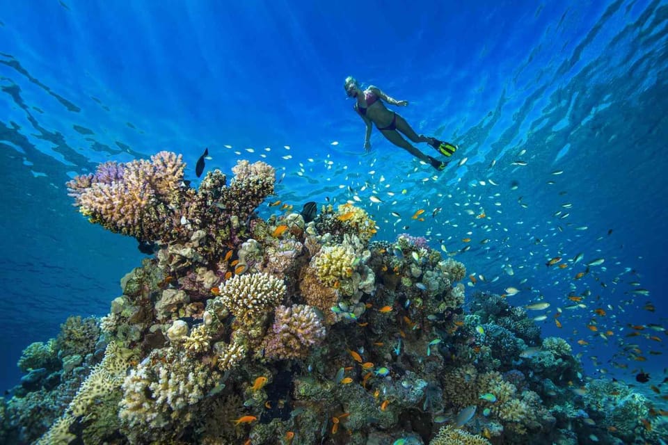 Snorkeller swimming Over Crystal Clear Reefs Around Tumbatu Island