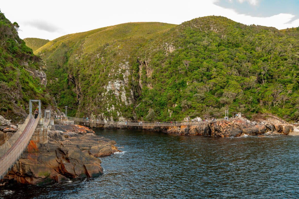 Tsitsikamma National Park, Western Cape