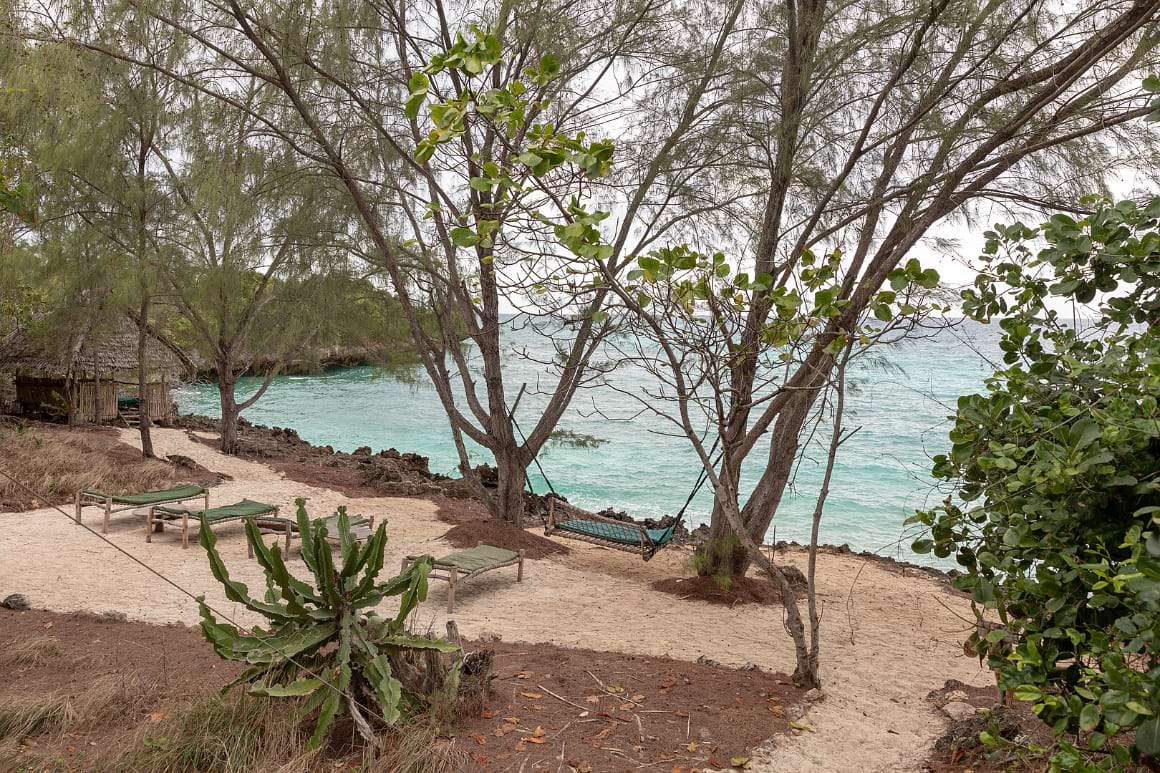 Trees and sun loungers on the beach at Chumbe Island Coral Park, zanzibar