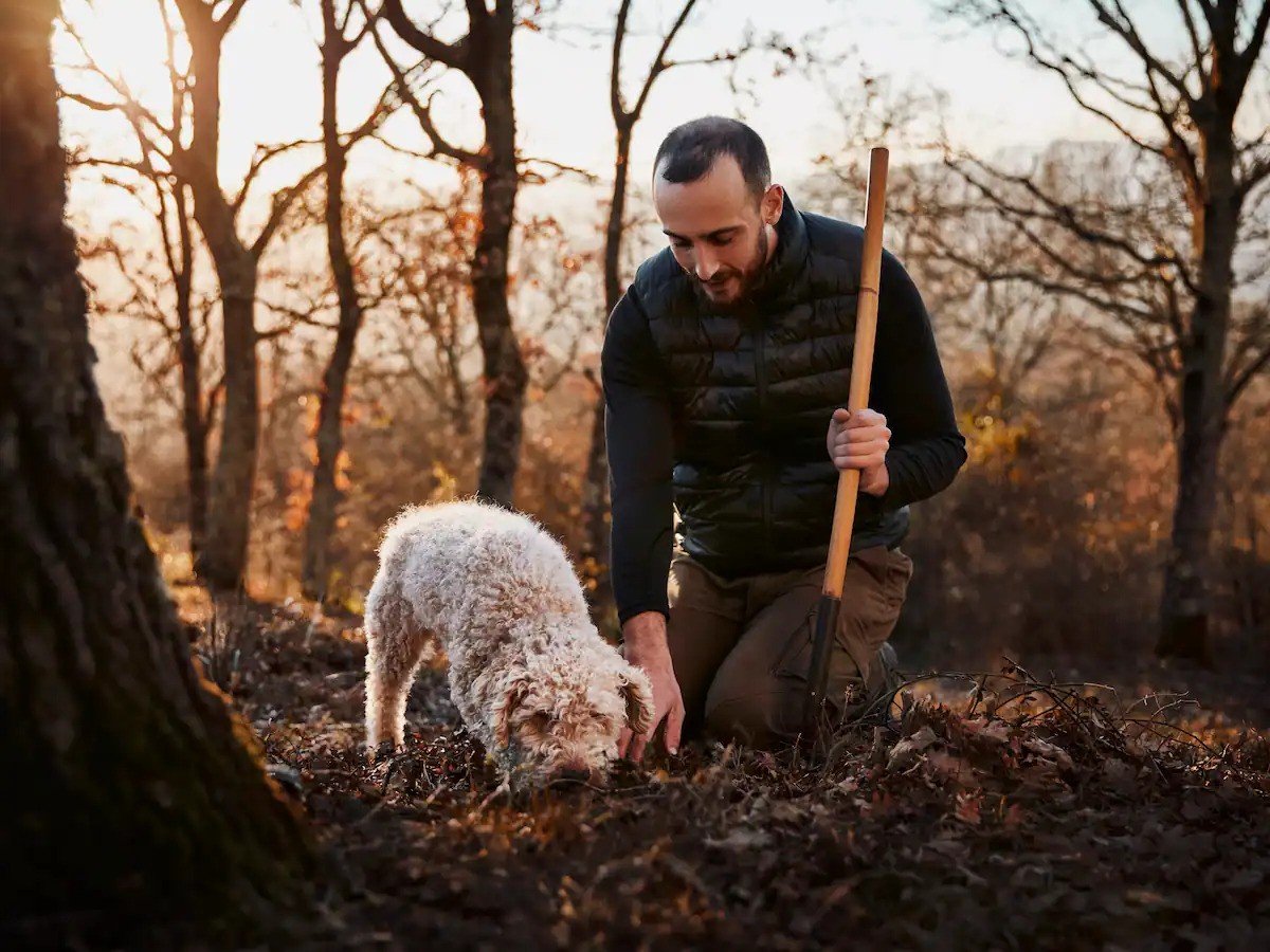 Truffle Experience Rome