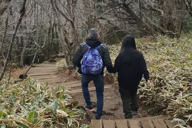 Two  people  hiking Jeju Island Mt Hallasan