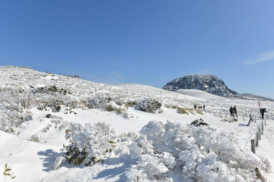 Hallasan in the Snow