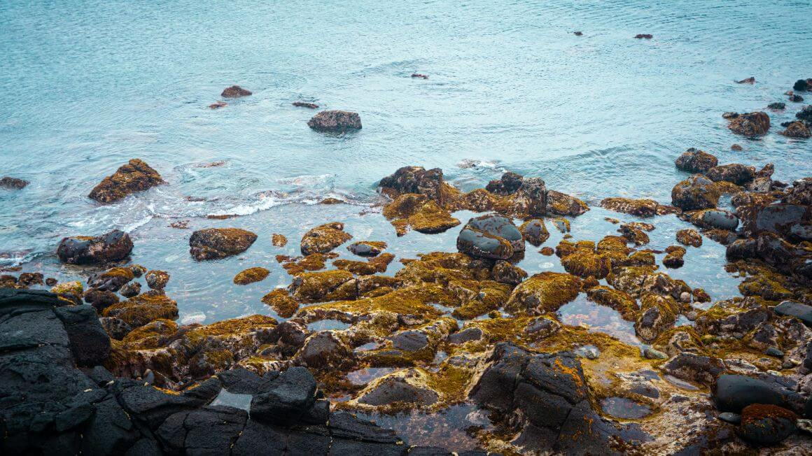 Rocky oceanside at Udo Island