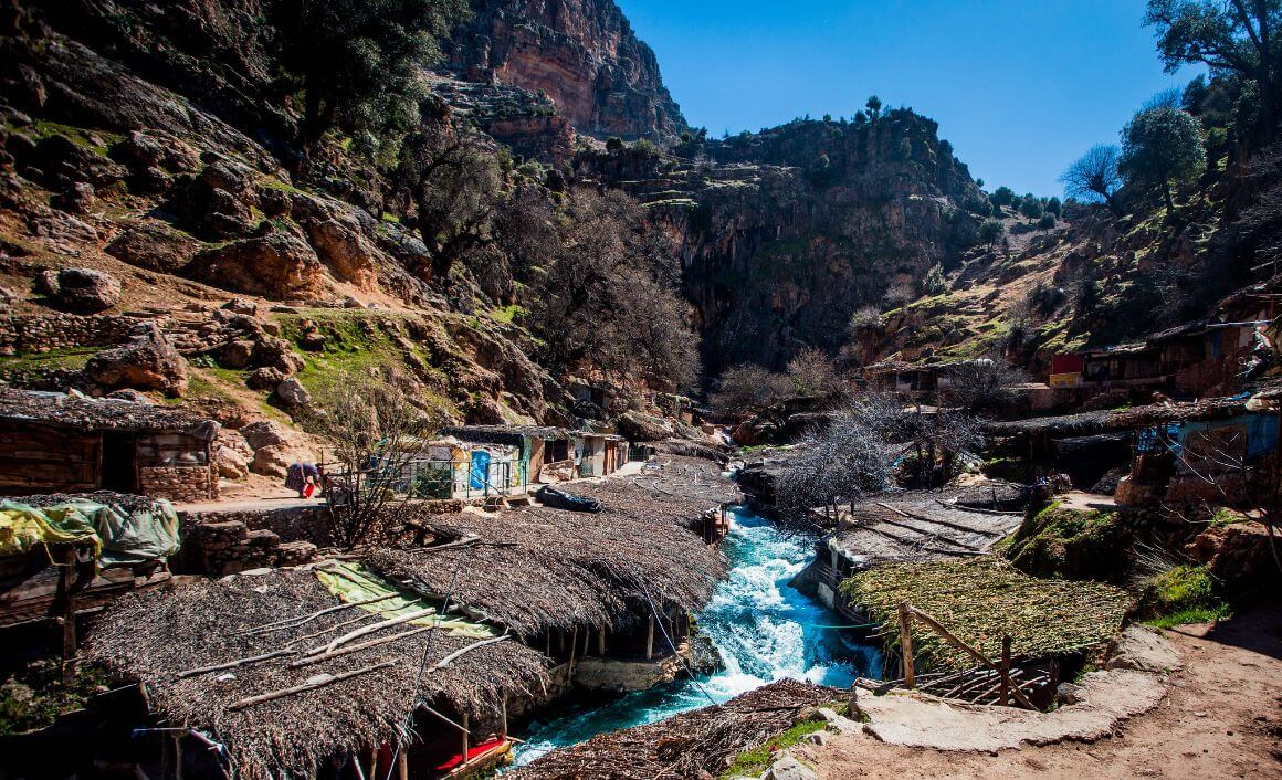 Khnifra Forest Morocco