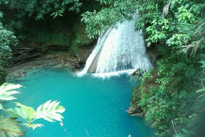 Trek Through the Konoko Falls and Gardens