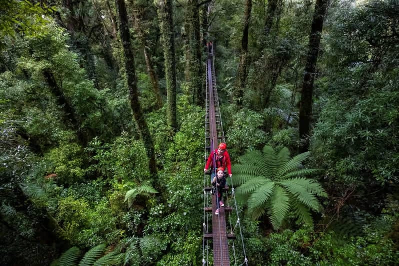 Embark on a Zipline Adventure