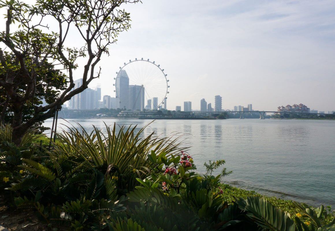 singapore-skyline-and-jungle