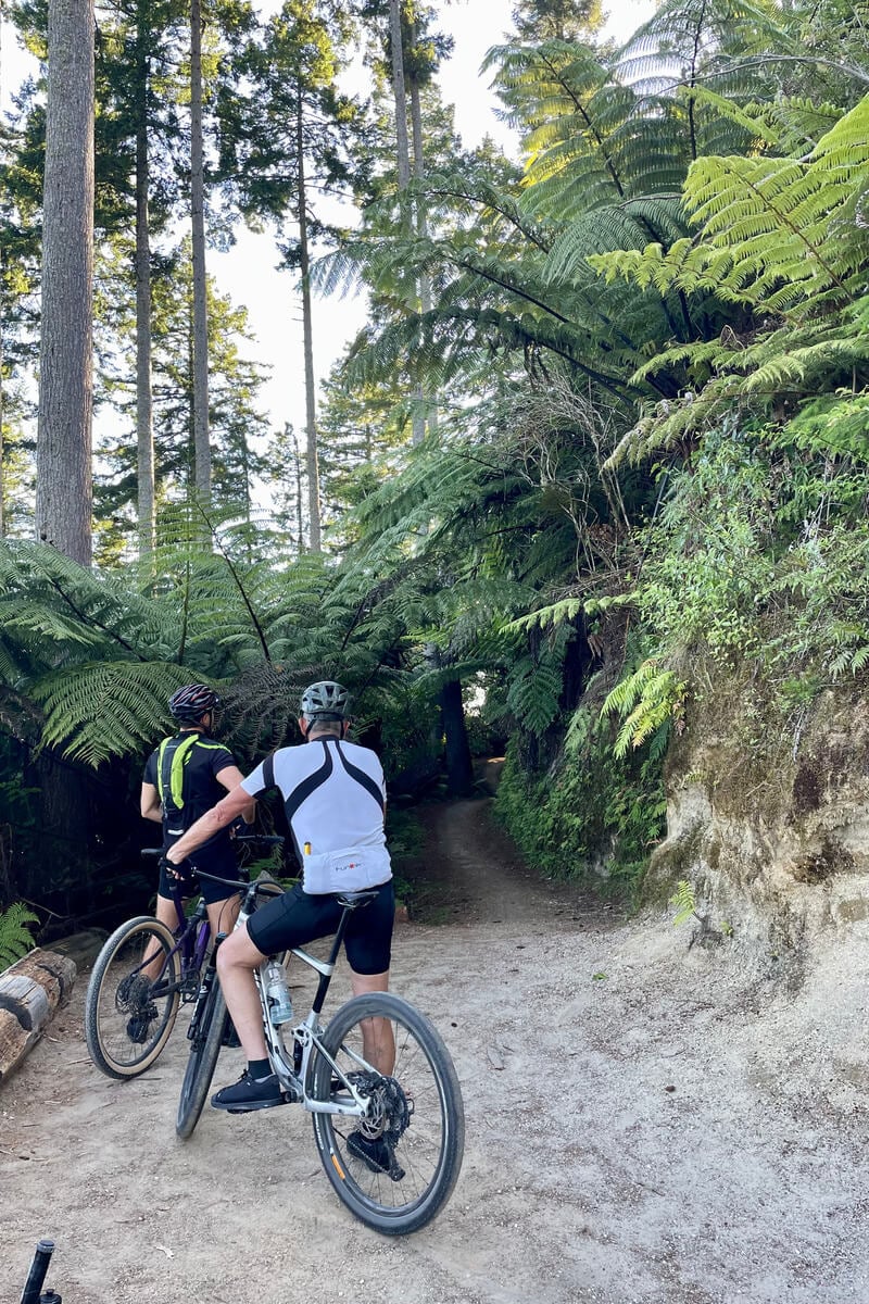 two guys mountain biking in the red woods new zealand, nz