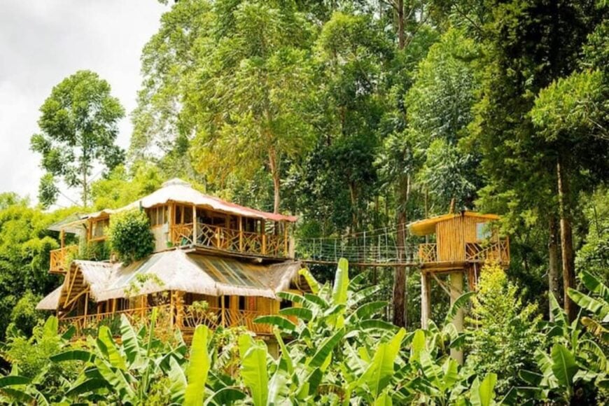 Eco Lodges in Ecuador [15 STUNNING PICKS for 2024]