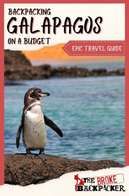 Backpacking Galapagos islands (IN-DEPTH 2023 Travel Guide) - Backpacking Galapagos Pin 520x674