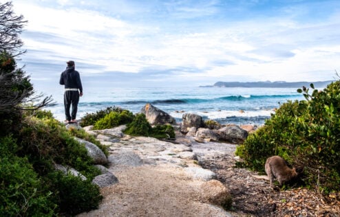 Man stood at the edge of the sea on rocks looking at the ocean and cliffs with shrubbery and a wallaby in the foreground