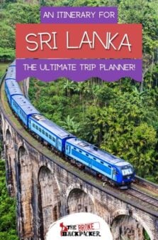 Is It Safe to Travel to Sri Lanka Right Now? All Your Questions Answered  About Sri Lanka Travel Safety (2024)