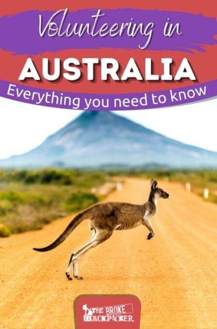 Biggest and BEST Guide to Volunteering in Australia (2024)