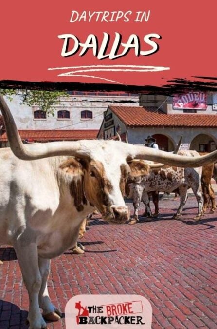 10 Most EPIC Dallas Day Trips | 2024 Guide