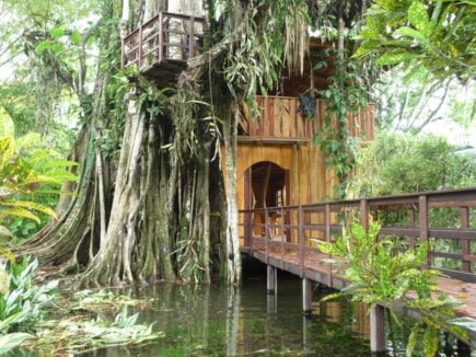 Topo's Treehouse Costa Rica