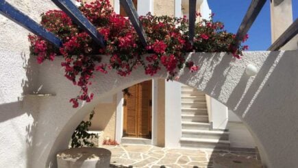 Iconic white buildings common in the cyclades, with contrasting pink flowers