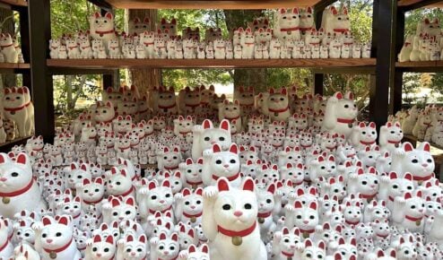 A temple full of cat statues, symbols of good luck, in Tokyo Japan.