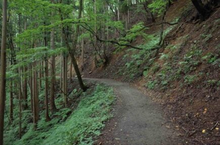 A beautiful hiking trail in Kyoto, Japan.