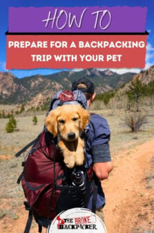 How to Prepare For a Backpacking Trip With Your Pet Pinterest Image