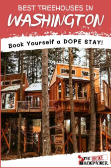 Best Treehouses in Washington Pinterest Image