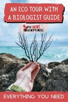 Take An Eco Tour With a Biologist Guide pinterest image